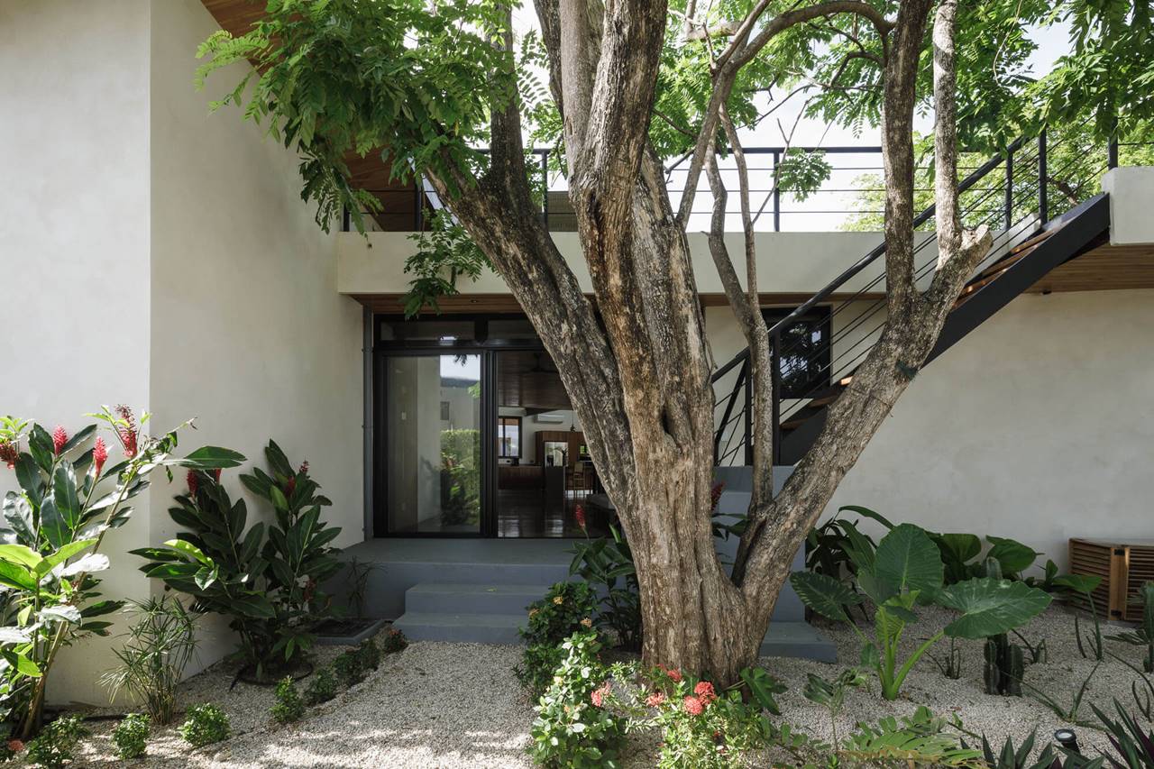 CASA ABEJAS 007
