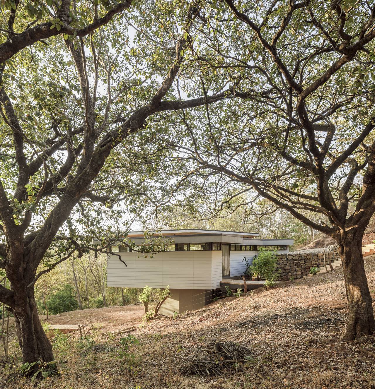 FLOATING LEAF HOUSE 005 ( PORTADA )
